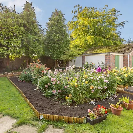 Lilac Holiday home
